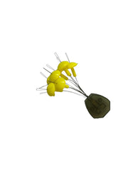 Arno Hooks Arno Stops Yellow