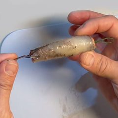 Spooligan Deedle Orange/Blue bait