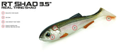 Molix RT Real Thing Shad 3.5" 5pcs