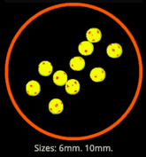 INOVA Attractor Pop Up Red Dot Beads