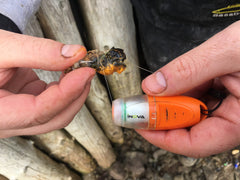 Inova Single Bait Binder crab scaled