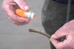 Inova Single Bait Binder baiting