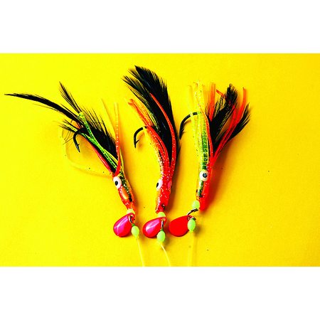 Shamrock Rainbow Warriors Black