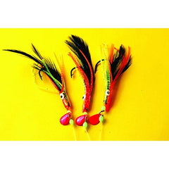 Shamrock Rainbow Warriors Black