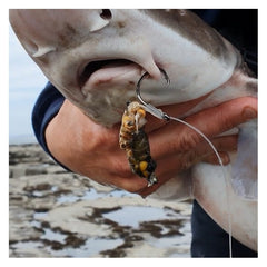 VARIVAS Full Circle Hooks