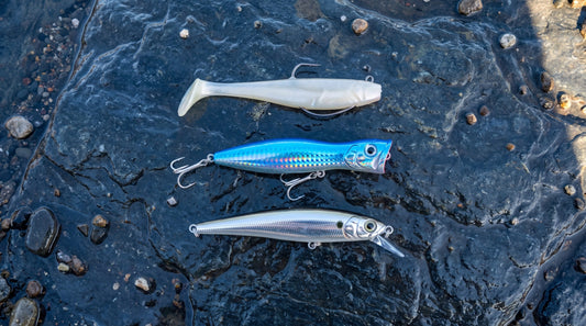 Bass Fishing Lures Explained: How to Choose the Best Lure for Every Condition