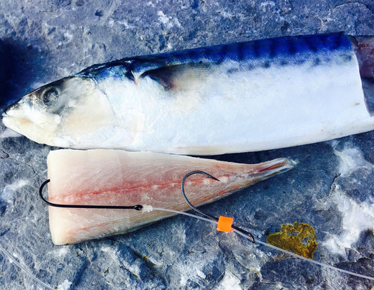 How to Choose the Best Fishing Hooks for Sea Fishing