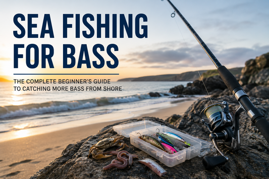 Sea Fishing for Bass: The Complete Beginner's Guide to Catching More Bass from Shore