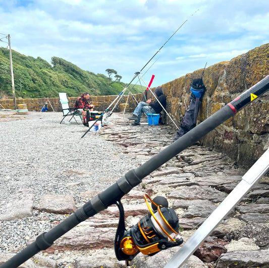 Sea Fishing in Ireland: A Complete Guide to the Best Locations, Species, and Tips