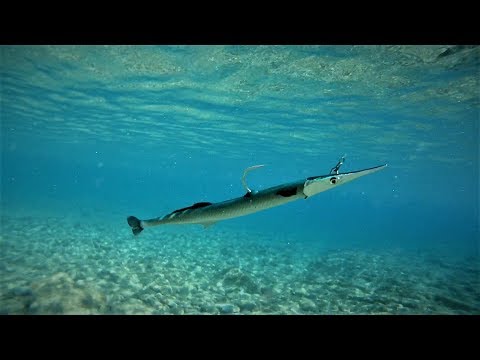 Savage Gear 3D NeedleFish Pulsetail