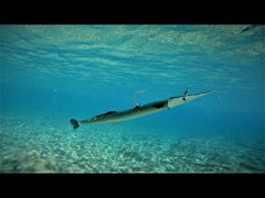 Savage Gear 3D NeedleFish Pulsetail 18cm 26g Green