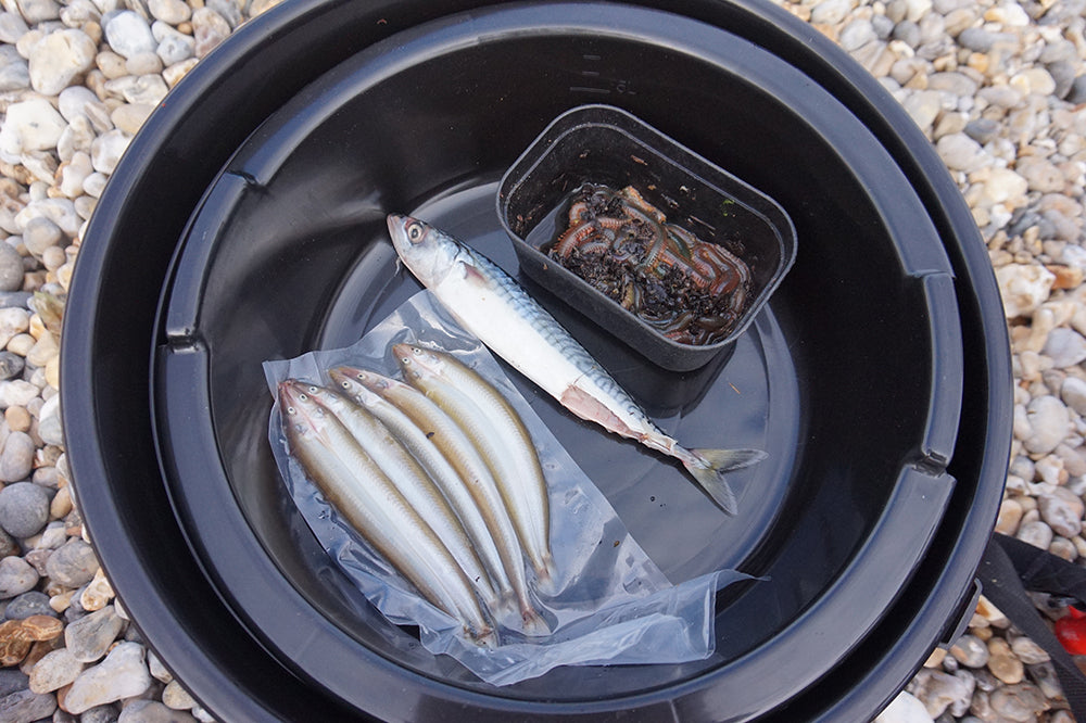 Tronixpro 27L Bait Bucket with fish and a small container of food on a gravel surface