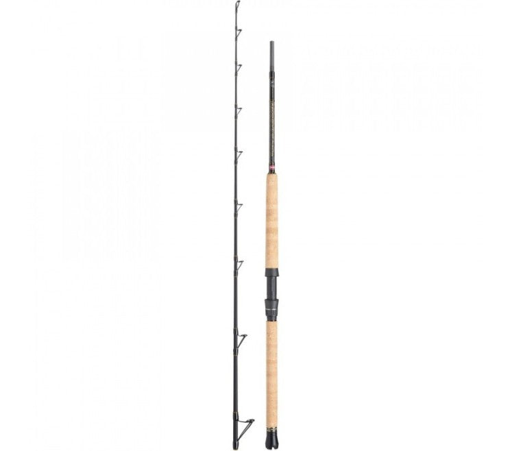 Penn Regiment III Boat Rod - 30lb-50lb