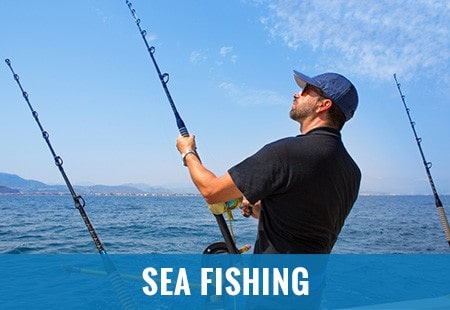 fishing shop online